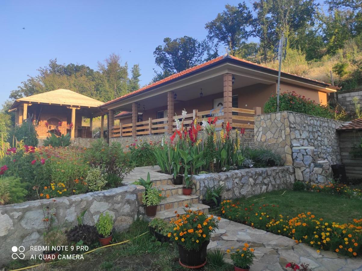 Vila Vera Borsko Jezero Luaran gambar