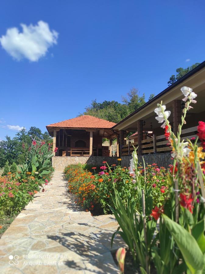 Vila Vera Borsko Jezero Luaran gambar